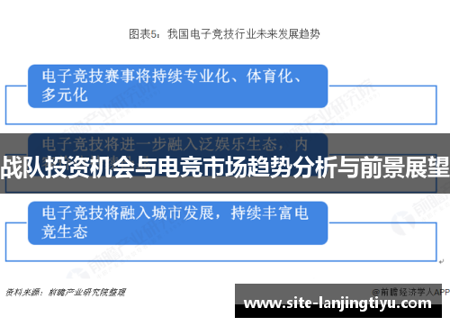 战队投资机会与电竞市场趋势分析与前景展望