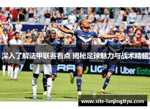 深入了解法甲联赛看点 揭秘足球魅力与战术精髓