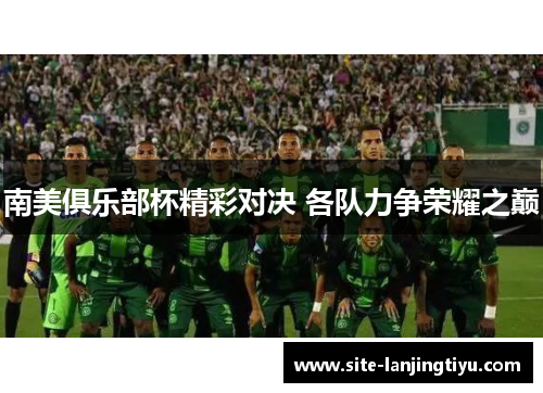 南美俱乐部杯精彩对决 各队力争荣耀之巅 南美俱乐部杯精彩对决 各队力争荣耀之巅