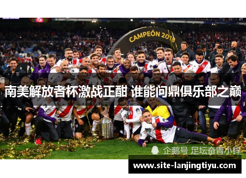 南美解放者杯激战正酣 谁能问鼎俱乐部之巅