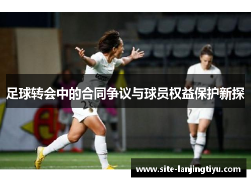 足球转会中的合同争议与球员权益保护新探