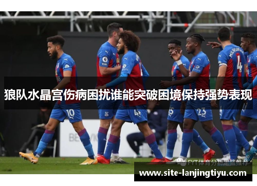 狼队水晶宫伤病困扰谁能突破困境保持强势表现