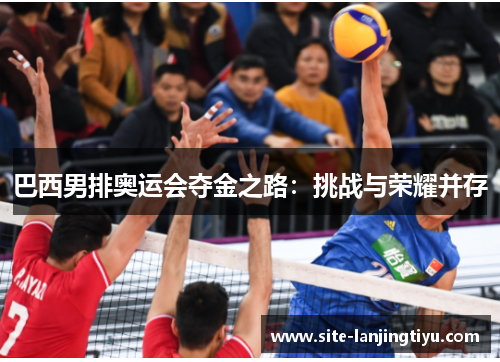 巴西男排奥运会夺金之路：挑战与荣耀并存